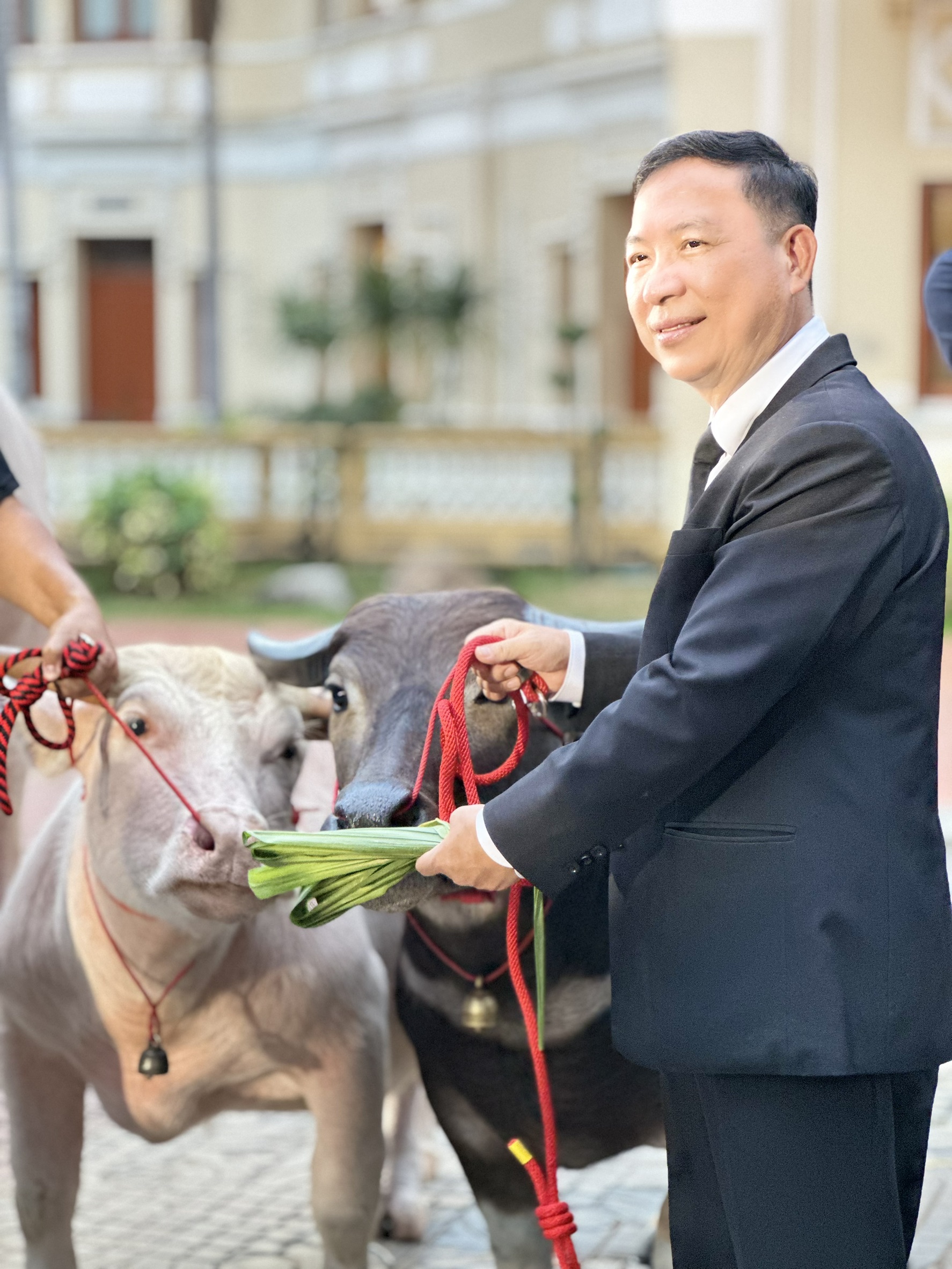 กรมปศุสัตว์จัดแถลงข่าวงานวันอนุรักษ์และพัฒนากระบือปลักไทย ประจำปี 2569 เพื่ออนุรักษ์ สืบสาน รักษา ต่อยอด กระบือปลักไทย ภายใต้หลัก S 21536813