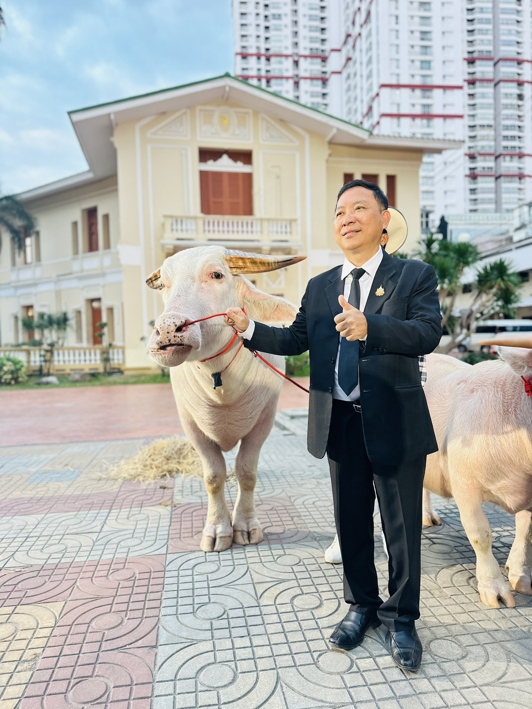 กรมปศุสัตว์จัดแถลงข่าวงานวันอนุรักษ์และพัฒนากระบือปลักไทย ประจำปี 2569 เพื่ออนุรักษ์ สืบสาน รักษา ต่อยอด กระบือปลักไทย ภายใต้หลัก S 21536817