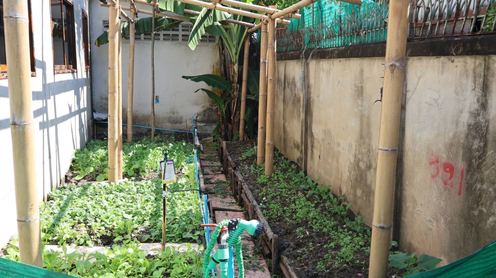 “รองปลัดฯ กฤษ” ลงพื้นที่ติดตามขับเคลื่อน “บ้านมั่นคงสามัคคีติวานนท์” สร้างความมั่นคงด้านเกษตรและอาหาร ด้วยหลัก “ตลาดนำ นวัตกรรมเสริม เพิ่มรายได้” 9 S 25313319