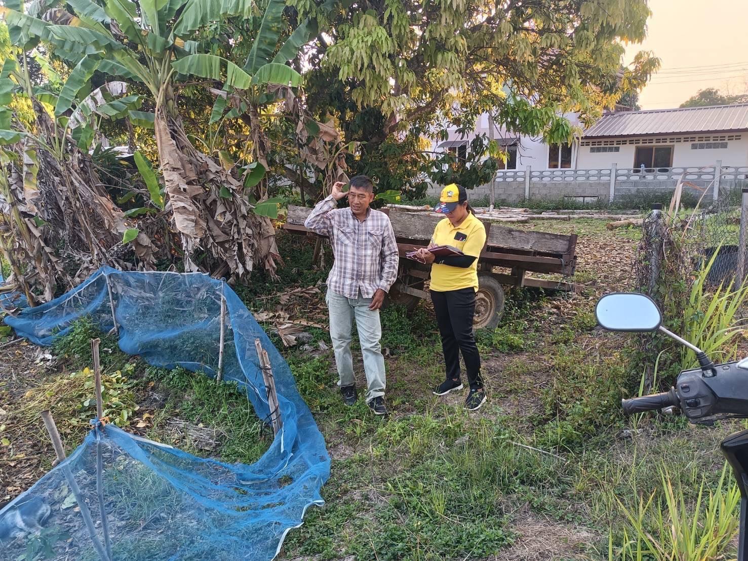 สศท.2 เกาะติดสถานการณ์ถั่วเหลือง ปี 2568/69 พื้นที่ 6 จังหวัดภาคเหนือ แนะเกษตรกรดูแลรักษาแปลง เฝ้าระวังโรคและแมลงศัตรูพืชอย่างใกล้ชิด 5 S 4104214 0 0