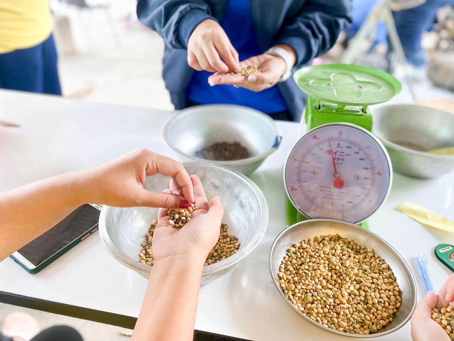 สศท.2 เกาะติดสถานการณ์ถั่วเหลือง ปี 2568/69 พื้นที่ 6 จังหวัดภาคเหนือ แนะเกษตรกรดูแลรักษาแปลง เฝ้าระวังโรคและแมลงศัตรูพืชอย่างใกล้ชิด 7 S 4104216 0 0