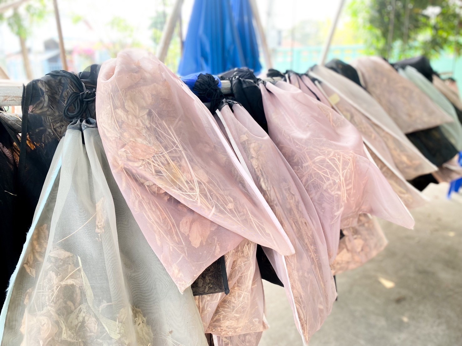 สศท.2 เกาะติดสถานการณ์ถั่วเหลือง ปี 2568/69 พื้นที่ 6 จังหวัดภาคเหนือ แนะเกษตรกรดูแลรักษาแปลง เฝ้าระวังโรคและแมลงศัตรูพืชอย่างใกล้ชิด 8 S 4104217 0 0