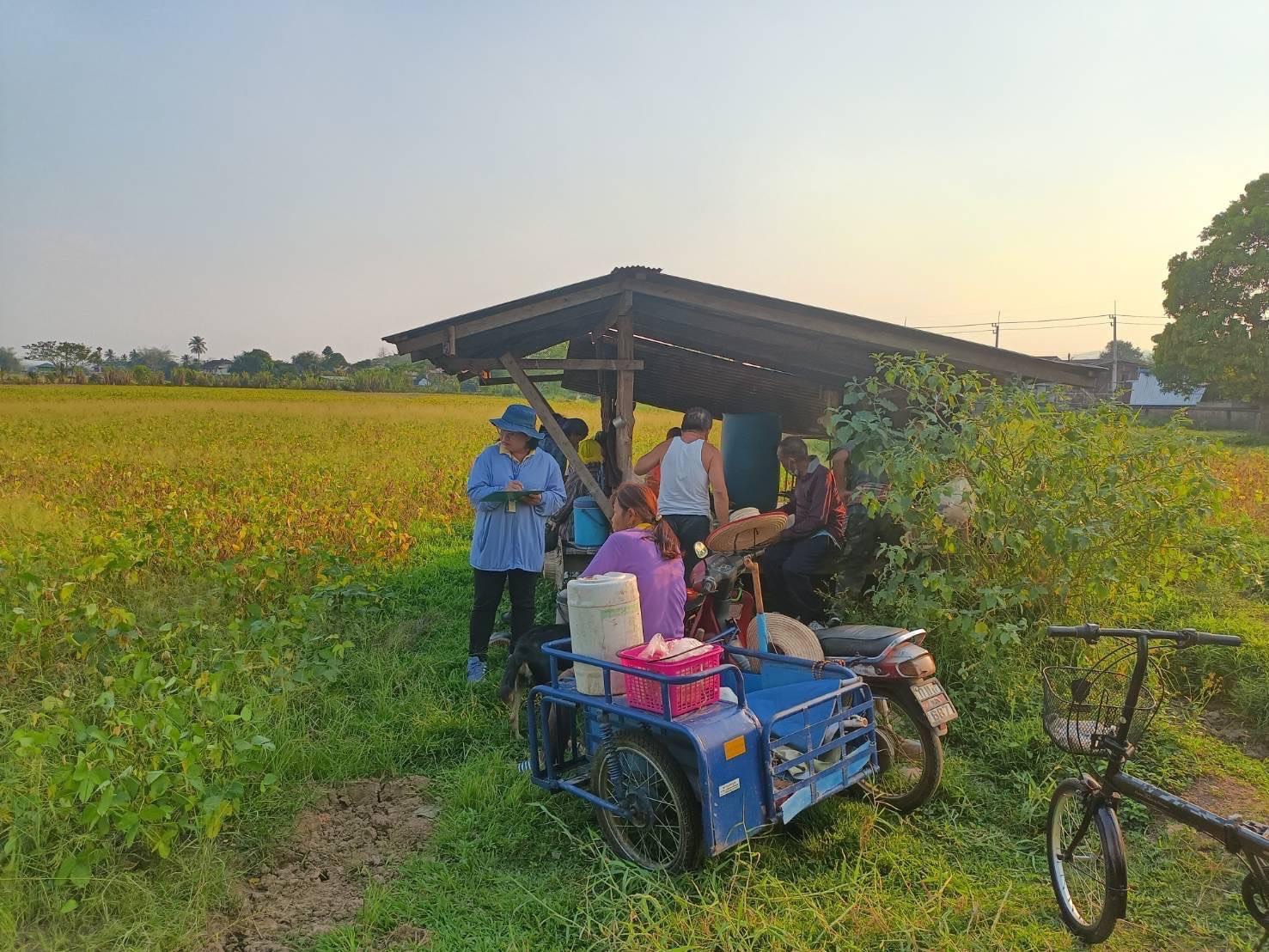 สศท.2 เกาะติดสถานการณ์ถั่วเหลือง ปี 2568/69 พื้นที่ 6 จังหวัดภาคเหนือ แนะเกษตรกรดูแลรักษาแปลง เฝ้าระวังโรคและแมลงศัตรูพืชอย่างใกล้ชิด 10 S 4104219 0 0