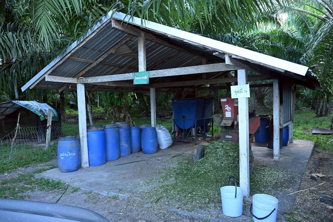 “รมช.อามินทร์” ลงพื้นที่กระบี่ หนุนเกษตรแปลงใหญ่ ดันมาตรฐานฟาร์ม–โรงฆ่าฮาลาล เพิ่มศักยภาพเกษตรกรรองรับตลาดมุสลิมใน–ต่างประเทศ 7 S 495370282