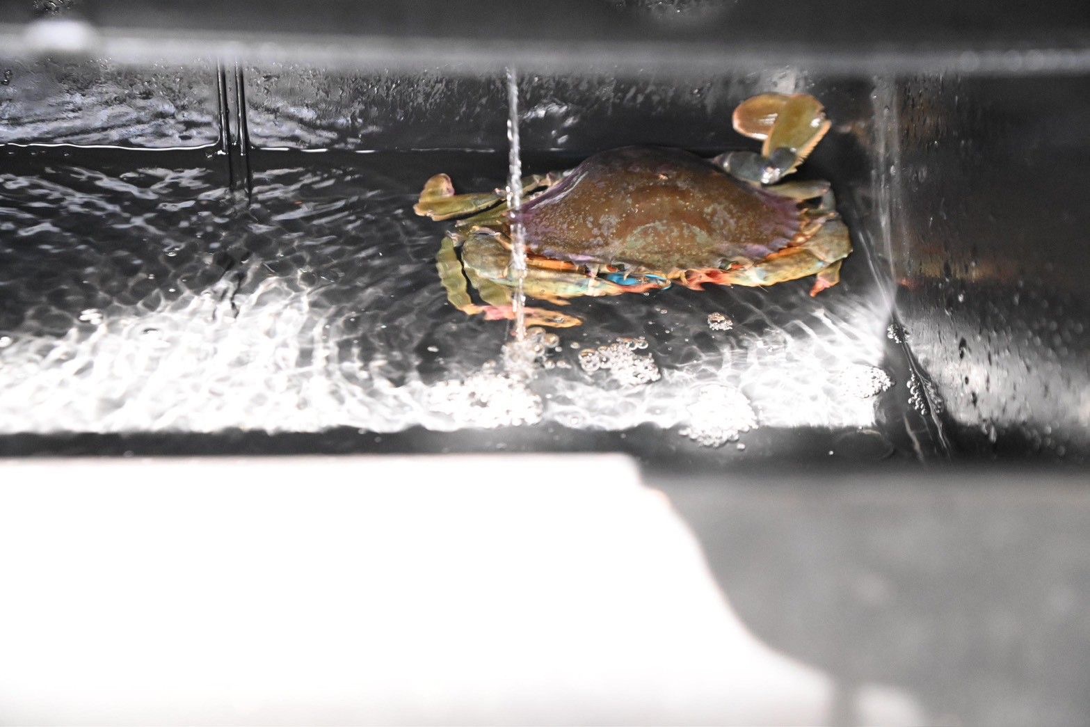 “รมช.อามินทร์” ลงพื้นที่นราธิวาส ขับเคลื่อนประมงชายแดนใต้ ดันเพาะปลากุเรา GI ฟื้นฟูทรัพยากร สร้างรายได้ชุมชน พร้อมซ่อมสะพานตากใบ ยกระดับคุณภาพชีวิตประชาชน 10 S 496779342