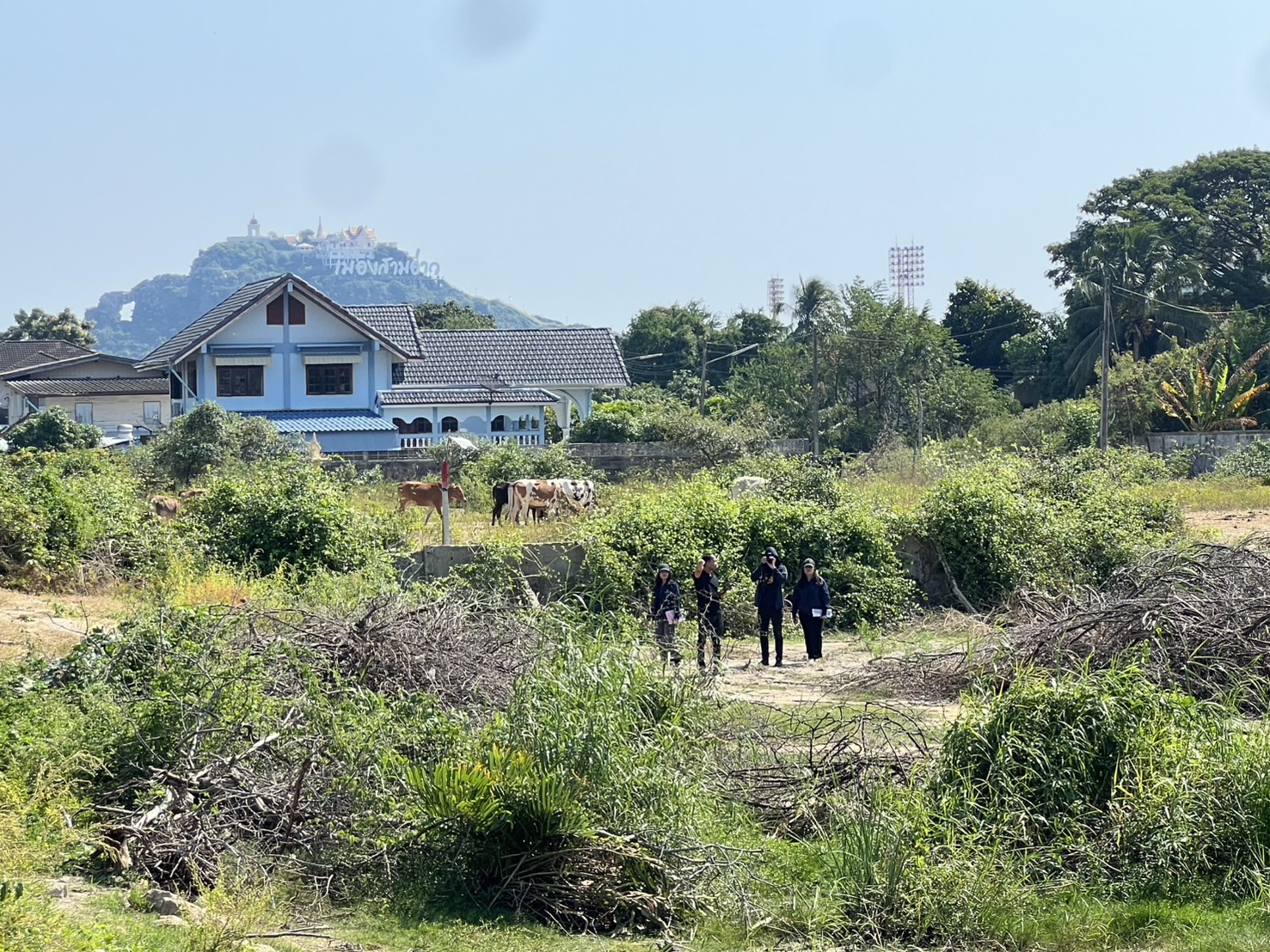 สศก. ผนึกกำลัง สคทช. ลงพื้นที่ประจวบคีรีขันธ์ ใช้ภาพถ่ายทางอากาศ–Ground Truth ยืนยันแนวเขตที่ดินรัฐ วางฐาน “ที่ดินชัด ตามรอยได้ ยกระดับสินค้าเกษตรมูลค่าสูง” 5 S 57901099 0