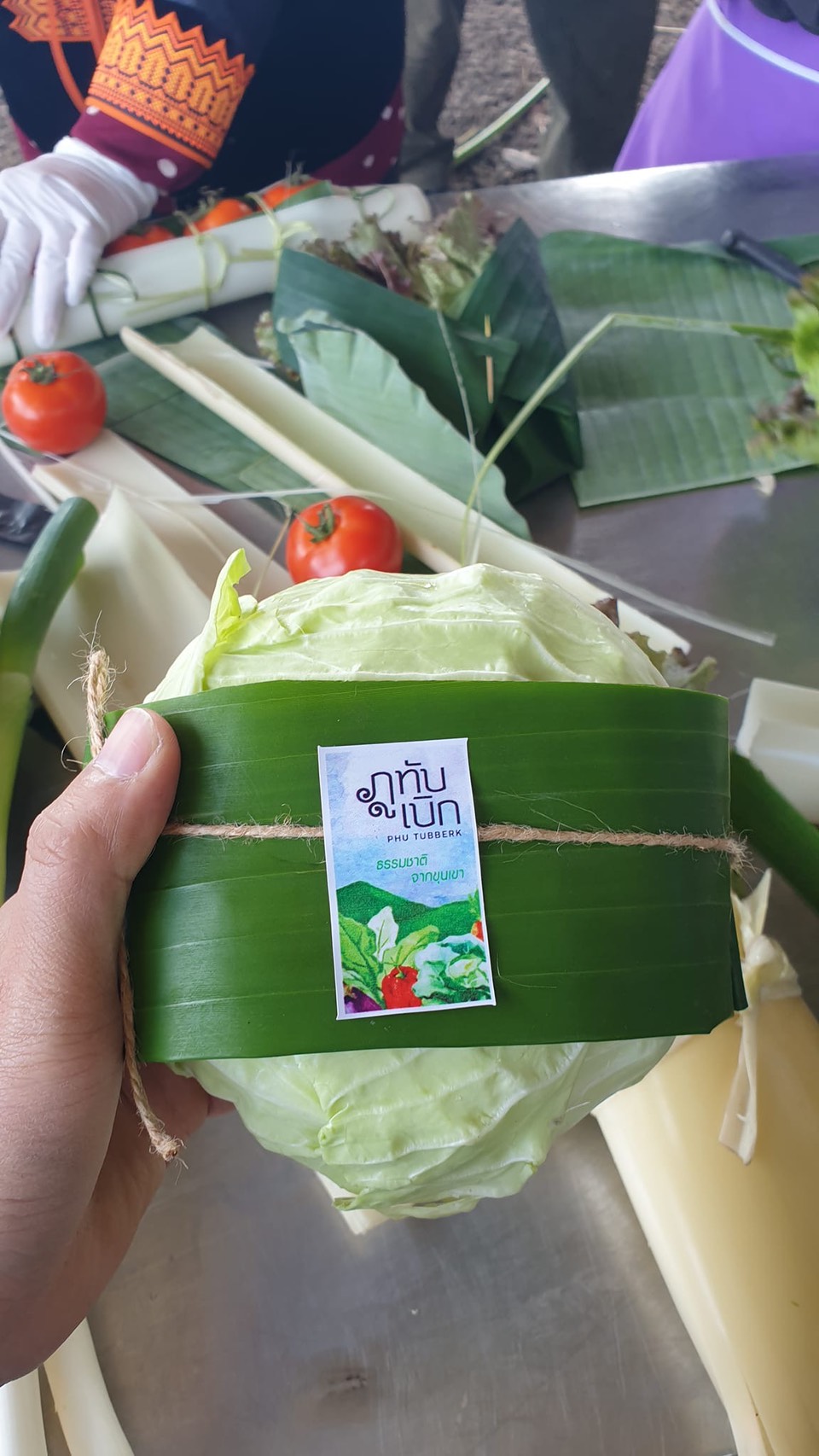 สหกรณ์ภูมิใจผักปลอดภัยภูทับเบิก มาตรฐานตลาดโมเดิร์นเทรดพร้อมผลักดันสมาชิกผ่านรับรอง GAP/เกษตรอินทรีย์ เล็งขยายตลาดเพิ่มรายได้ 9 S 6955134