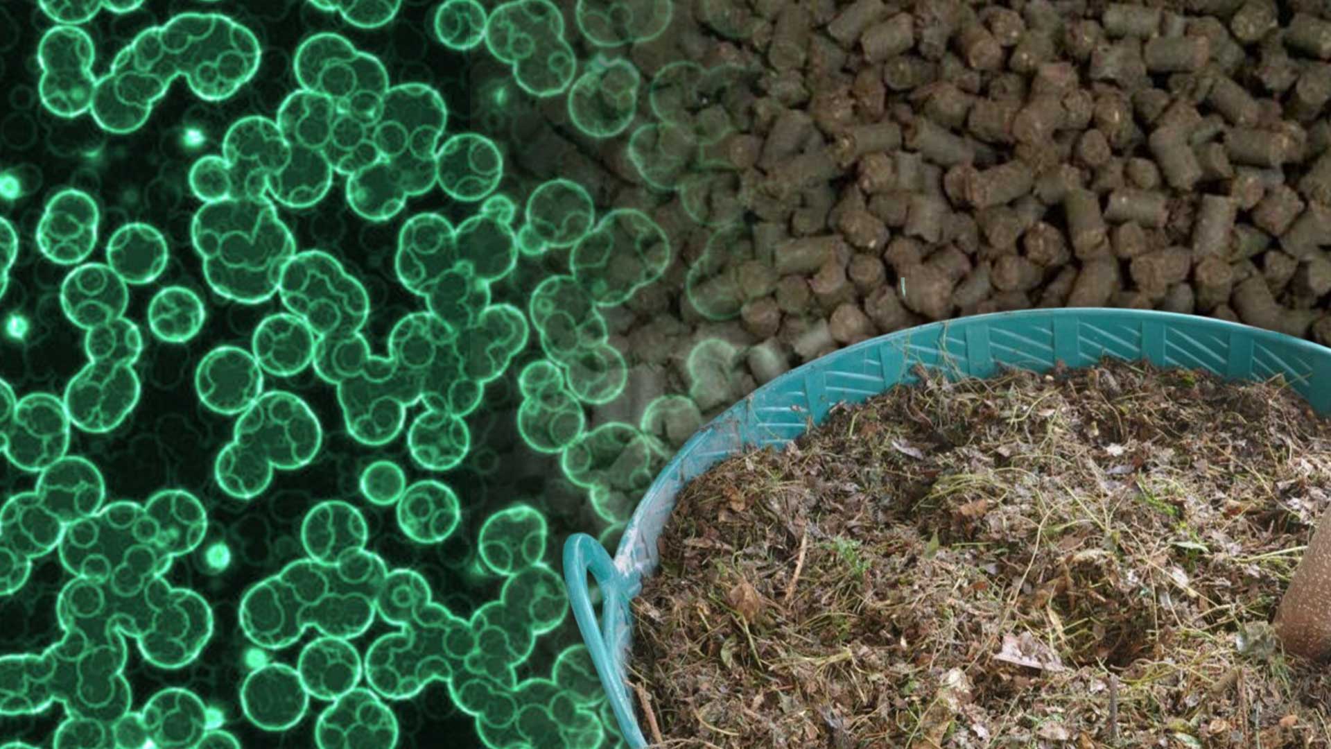 เรื่องของปุ๋ย ก่อนปลูกพืชต้องรู้ ตอน 3 ปุ๋ยชีวภาพ 1 S 745767