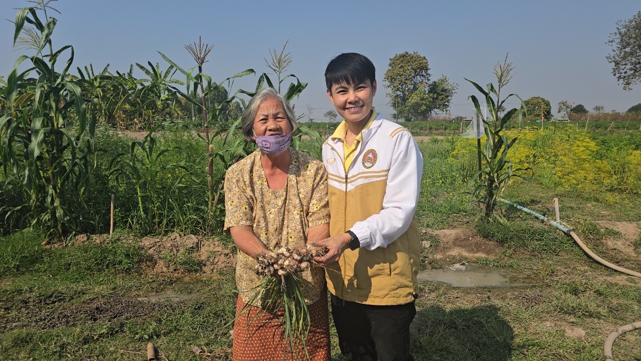 ARDA เปิดโมเดลปลูก - แปรรูป “กระเทียมพื้นบ้าน” เพิ่มมูลค่ากว่า 15 เท่า เกษตรกรยิ้มได้รายได้พุ่ง 3.4 แสนบาทต่อไร่ ด้วยกระเทียมดำ ผลิตภัณฑ์สุขภาพระดับพรีเมี่ยม 3 S 8798268