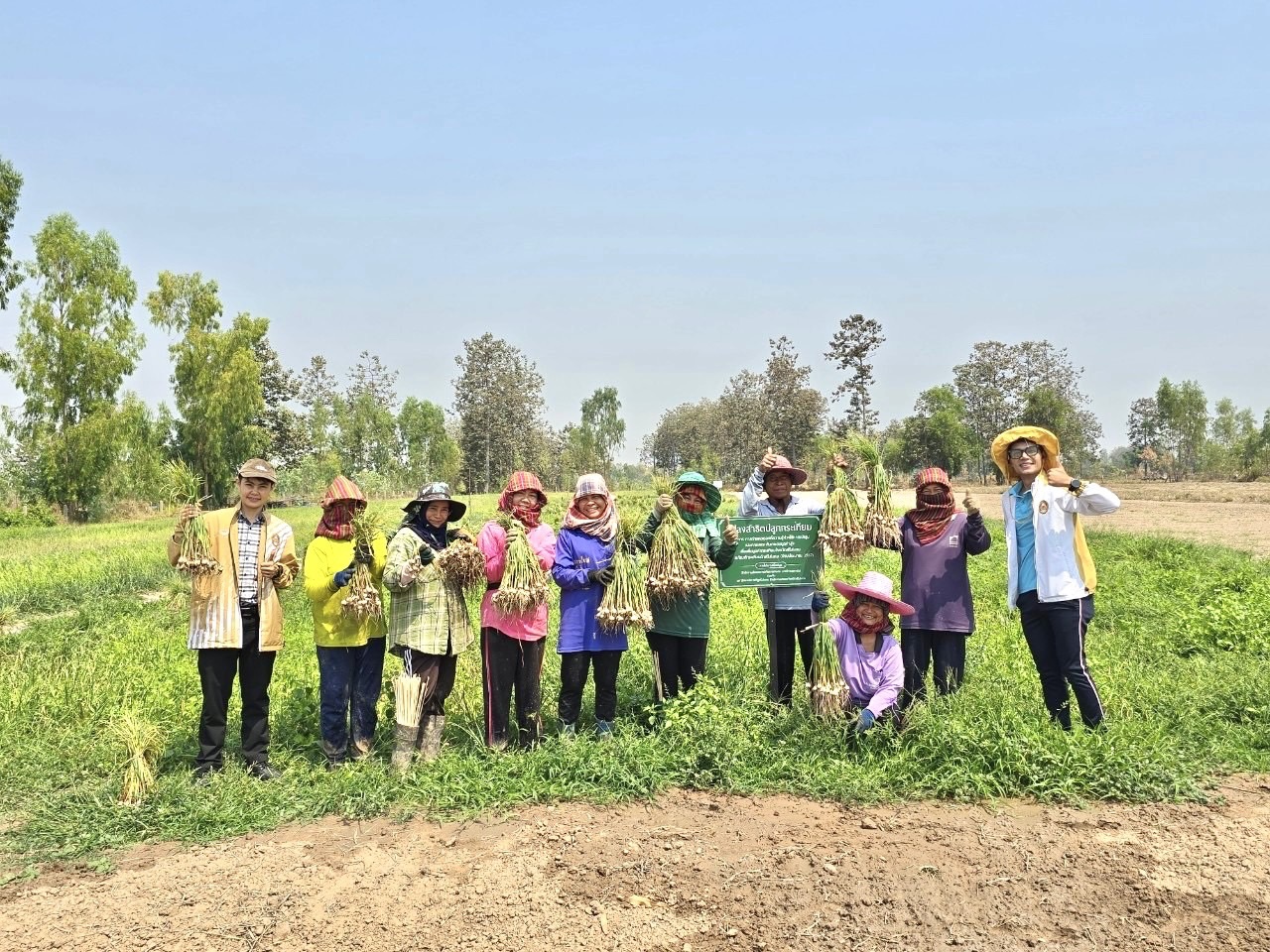 ARDA เปิดโมเดลปลูก - แปรรูป “กระเทียมพื้นบ้าน” เพิ่มมูลค่ากว่า 15 เท่า เกษตรกรยิ้มได้รายได้พุ่ง 3.4 แสนบาทต่อไร่ ด้วยกระเทียมดำ ผลิตภัณฑ์สุขภาพระดับพรีเมี่ยม 8 S 8798344