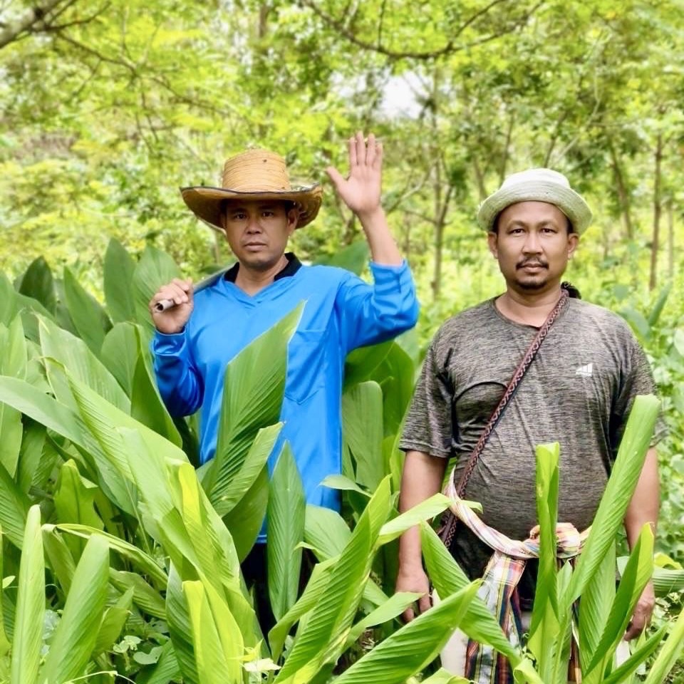 พลิกเกมป่ารอยต่อ ARDA ดันนวัตกรรมแปรรูปสมุนไพรสร้างเศรษฐกิจสีเขียว-สกัดช้างป่ารุกเมือง–สร้างรายได้ยั่งยืน 6 S 9183377