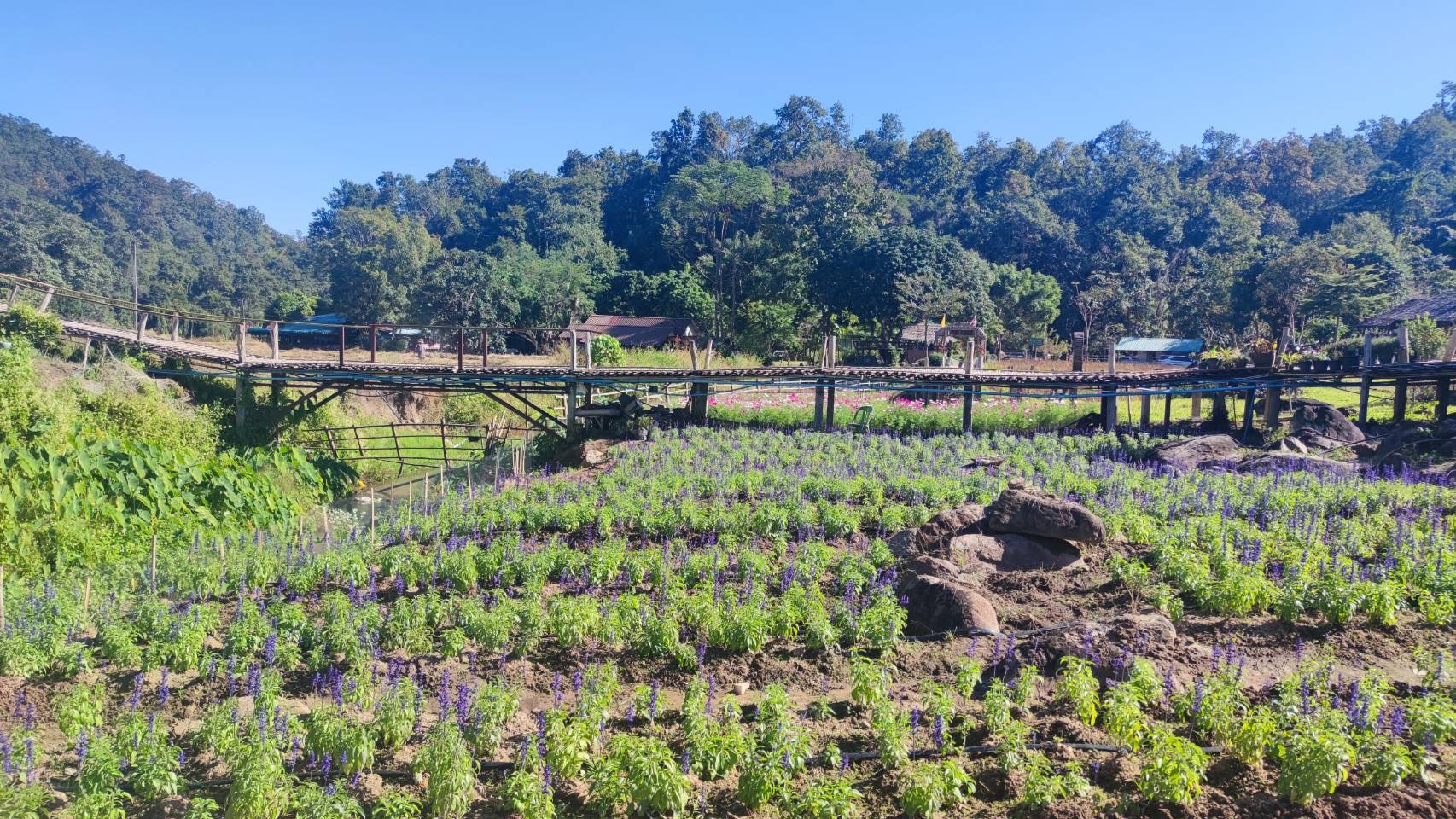 กรมส่งเสริมการเกษตรดึงแนวคิด IDG พัฒนาคนจากภายใน ขับเคลื่อนงานเชิงพื้นที่อย่างยั่งยืน ชู S 93945891 0