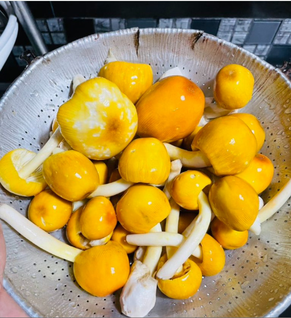 capture 20251215 135231 แ