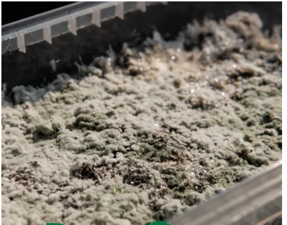 เรื่องของปุ๋ย ก่อนปลูกพืชต้องรู้ ตอน 3 ปุ๋ยชีวภาพ 3 capture 20251228 213401วว