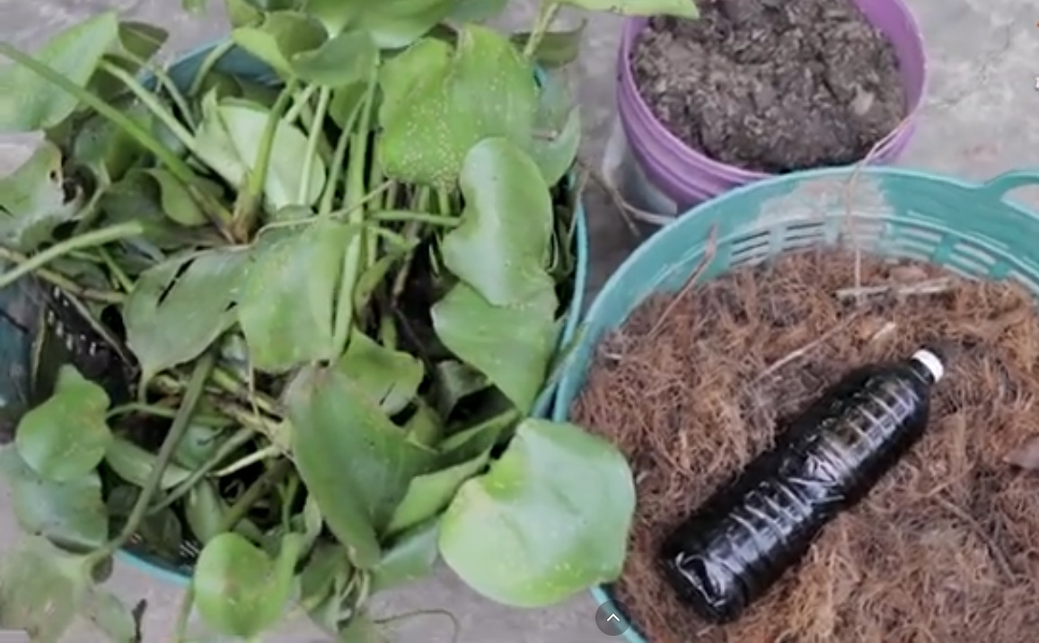 เรื่องของปุ๋ย ก่อนปลูกพืชต้องรู้ ตอน 4 capture 20251230 164131งงงงง