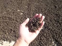 เรื่องของปุ๋ย.. ก่อนปลูกพืชต้องรู้ ตอน 5 "ปุ๋ยอินทรีย์ชีวภาพอัดเม็ด " 3 images