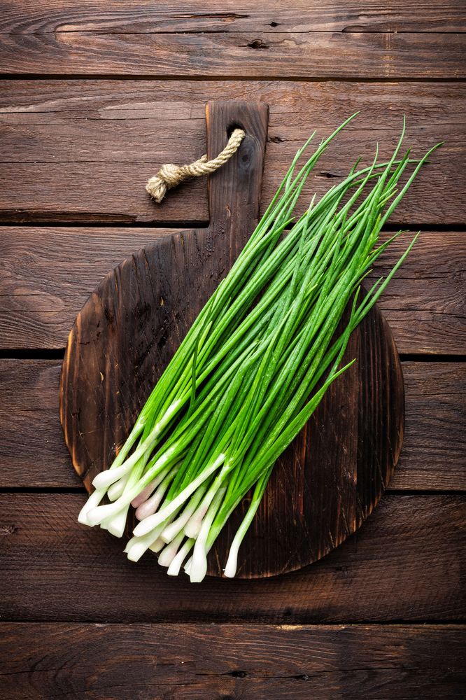 large Spring Onion 59c3088220