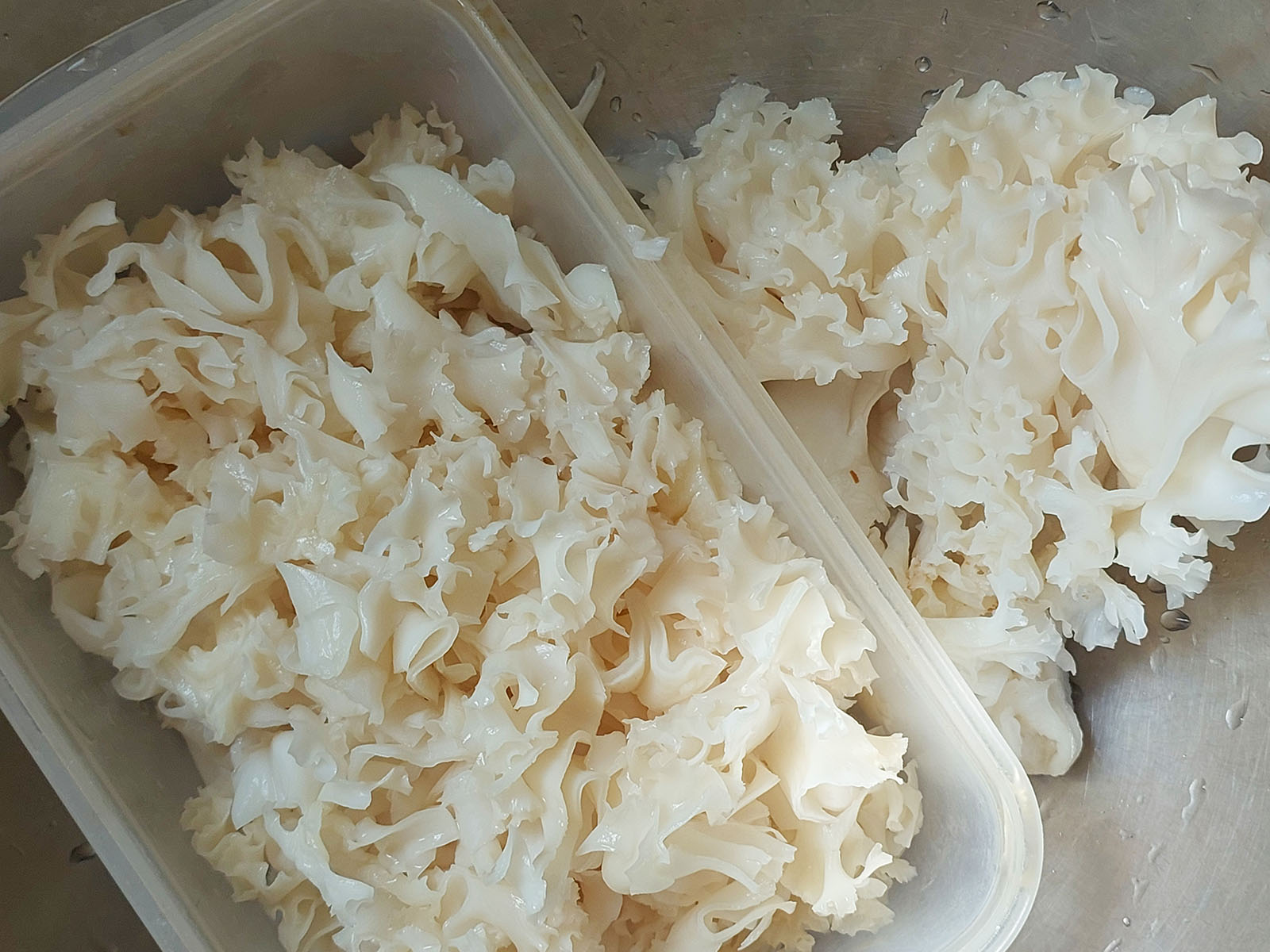 lxxqq7cjiz9B8gzSpmn o