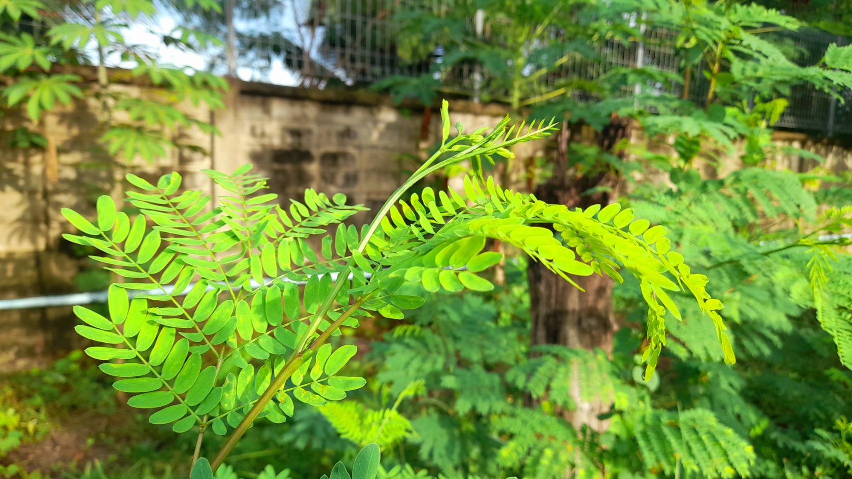 meo2t4w6juSjf8f5zlz o