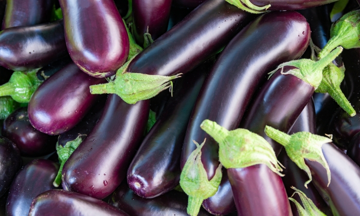 shutterstock 1718538361