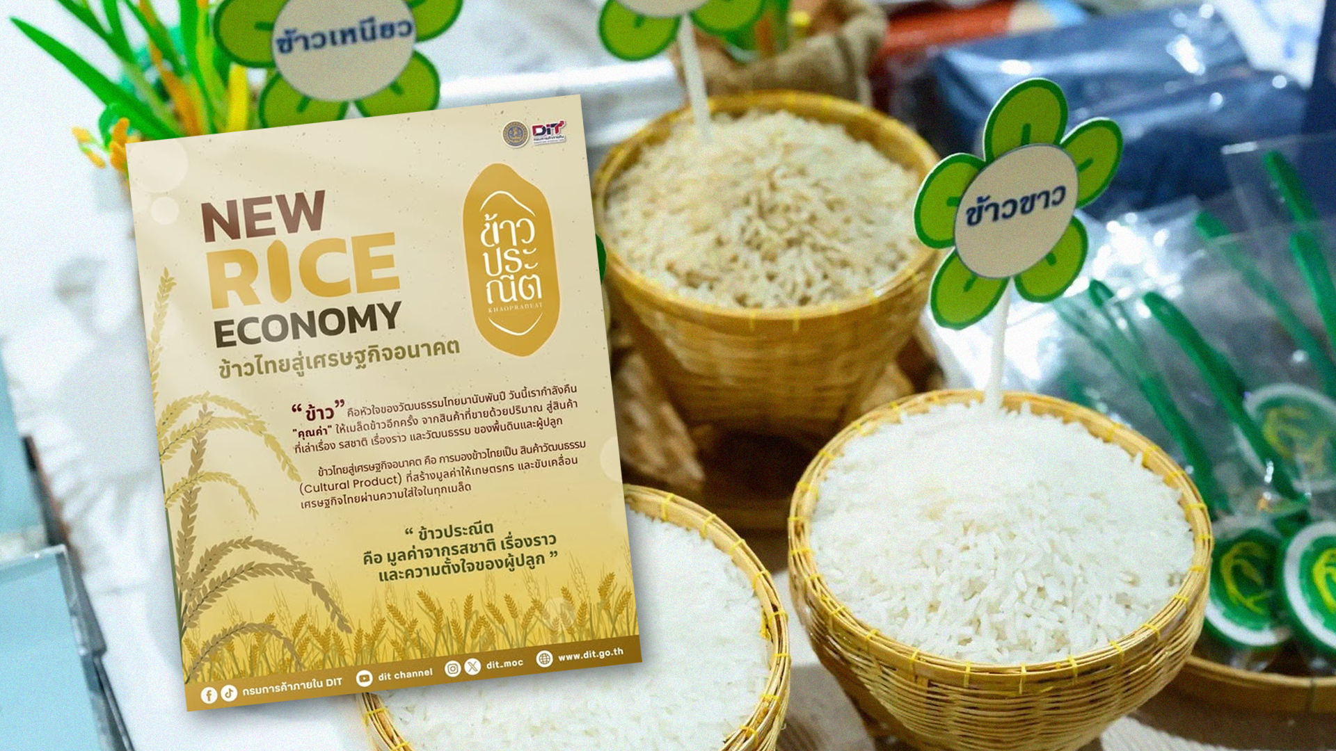 กรมการค้าภายใน2