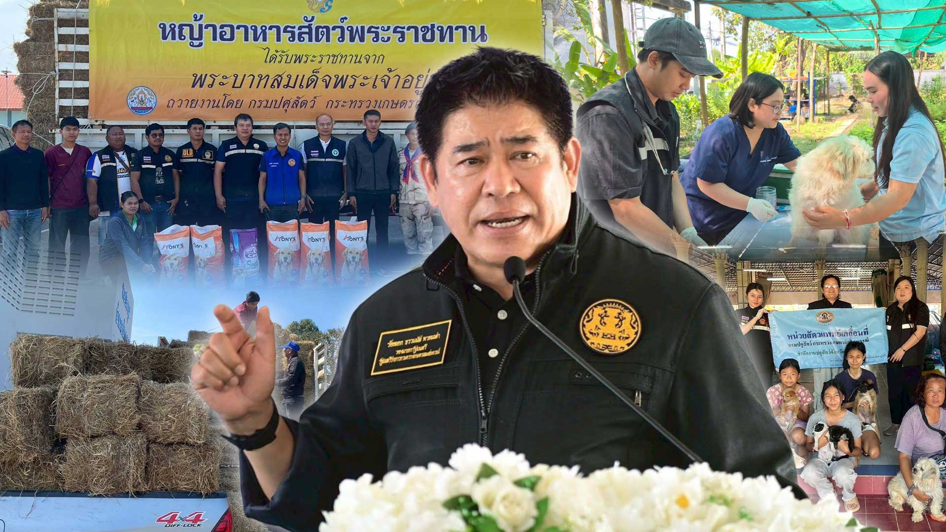 กรมปศุสัตว์ เร่งส่งหญ้าแห้ง3