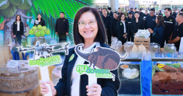 กรมส่งเสริมการเกษตร หนุนปลูกมะพร้าวสุขภาพดี ด้วยการจัดการศัตรูพืชแบบผสมผสาน (IPM) 8 กรมส่งเสริมการเกษตร2 3