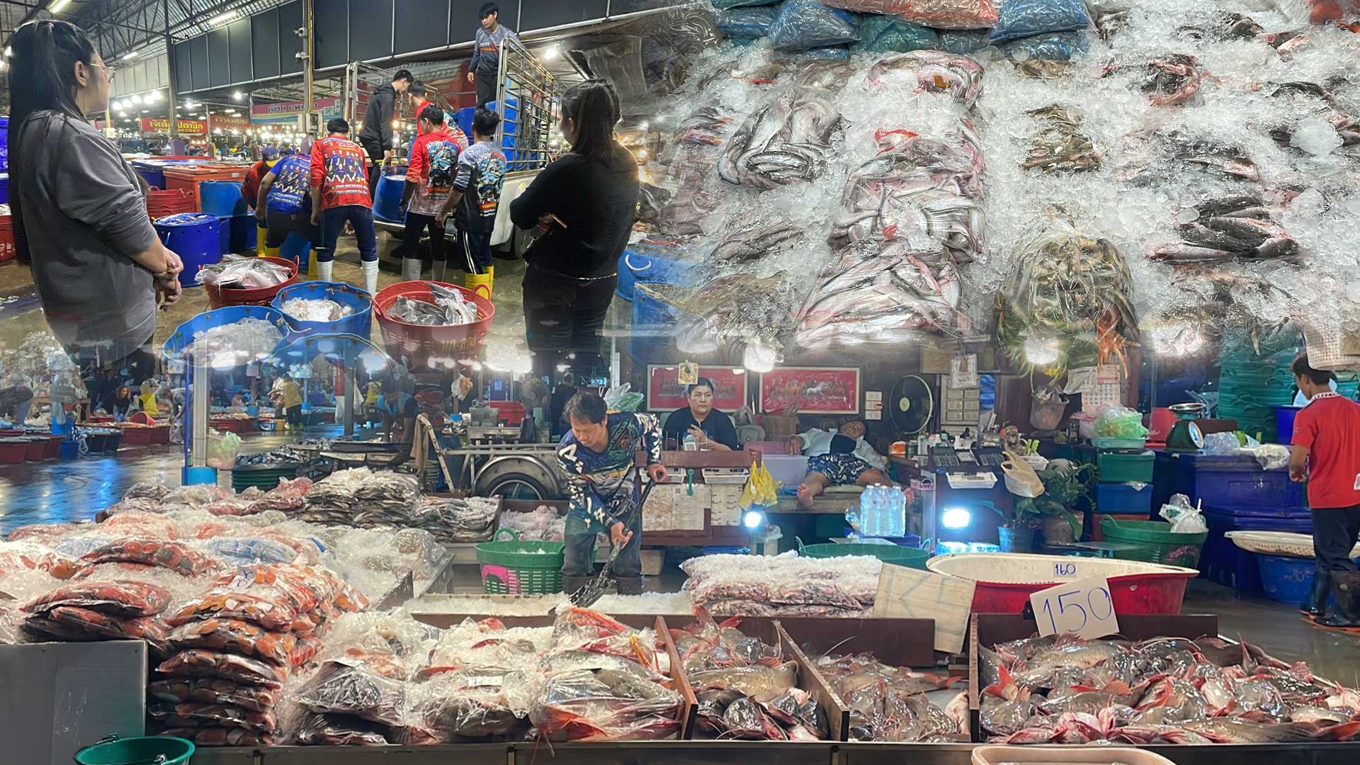 ความต้องการปลาน้ำจืดไทย พุ่ง 30-40% หลังสู้รบ/ด่านชายแดนไทย-กัมพูชา ปิด 1 ความต้องการปลาน้ำจืดไทย3