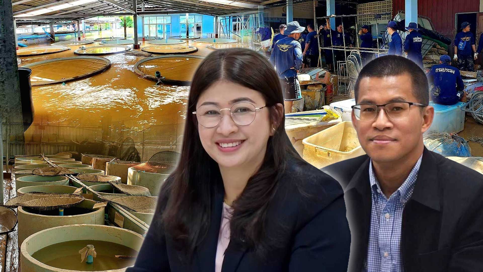 ชี้แจงเหตุเต่าในศูนย์ฯสตูลตายจากอุทกภัย3