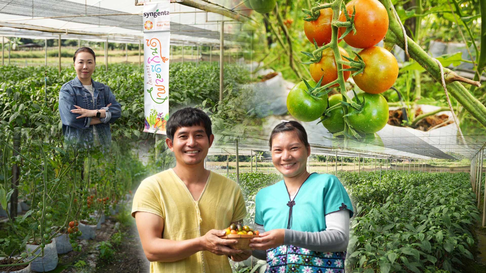 ซินเจนทา ชูความสำเร็จ “เพาะดี กินดี” ดันเกษตรกรไทยสู่มาตรฐาน GAP พร้อมก้าวสู่ตลาดสากล 1 ซินเจนทา ชูความสำเร็จ3