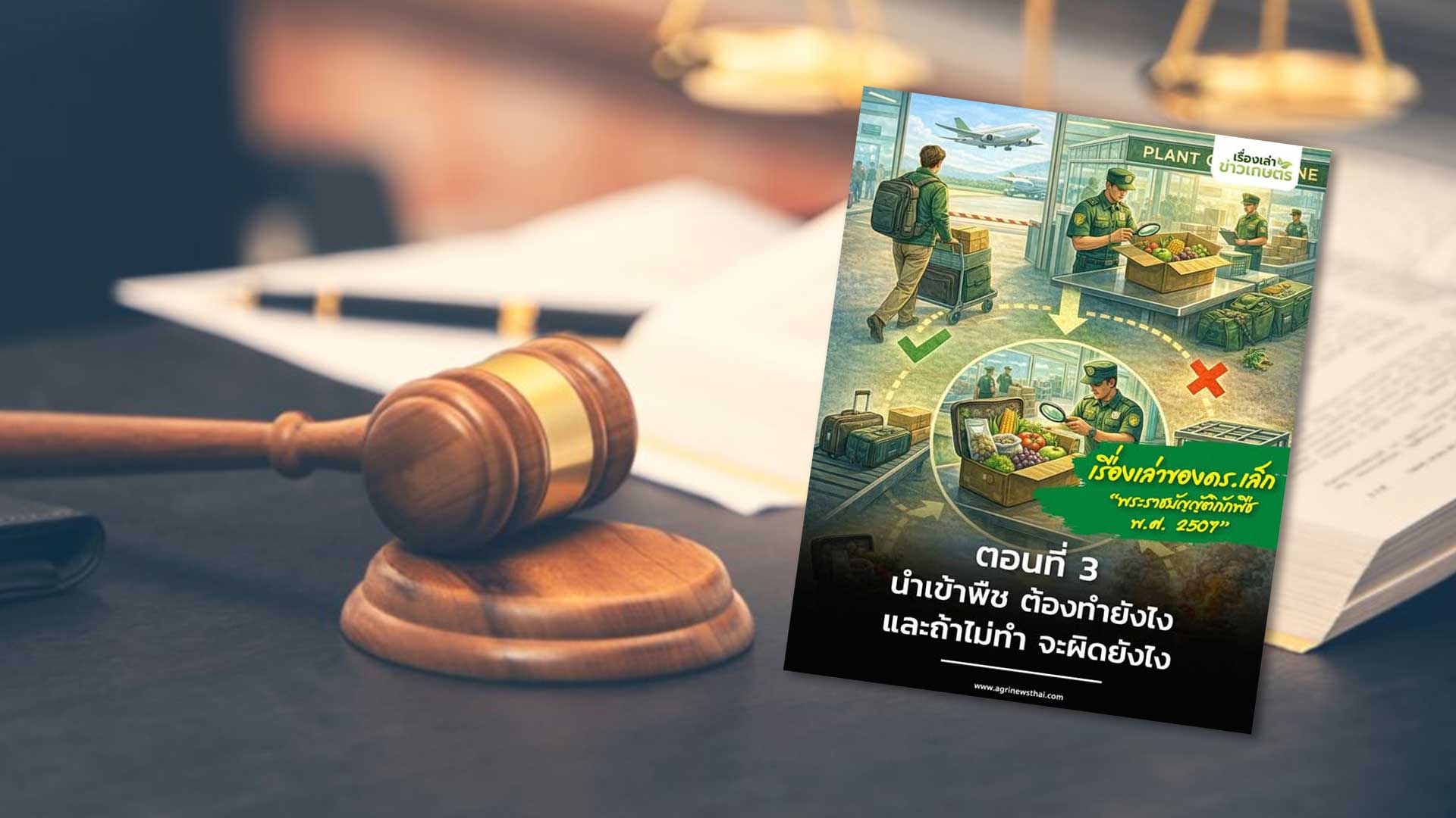เรื่องเล่าของ ดร.เล็ก พระราชบัญญัติกักพืช พ.ศ. 2507 ตอนที่ 3 : นำเข้าพืช ต้องทำยังไง (และถ้าไม่ทำ จะผิดยังไง) 1 นำเข้าพืช3