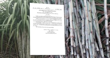 ราชกิจจาฯเผยแพร่ประกาศคณะกรรมการอ้อยและน้ำตาลทรายกำหนดพันธุ์อ้อย CSB 16-226 เป็นพันธุ์อ้อยที่ส่งเสริมให้ชาวไร่อ้อยปลูกในท้องที่ที่เหมาะสมต่อการปลูกอ้อยตามที่คณะกรรมการกำหนด 9 บอร์ดอ้อย3