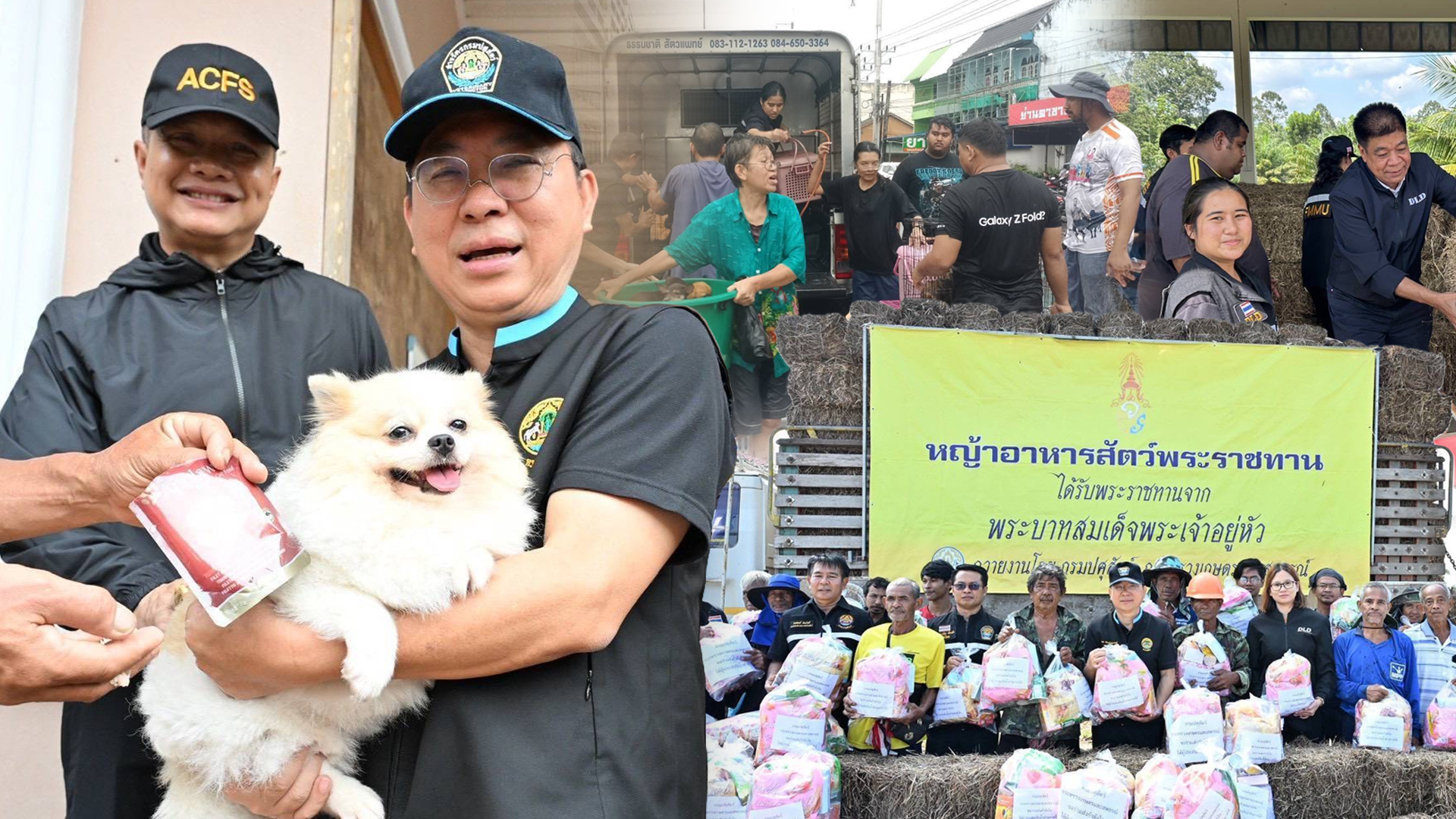 ปศุสัตว์2