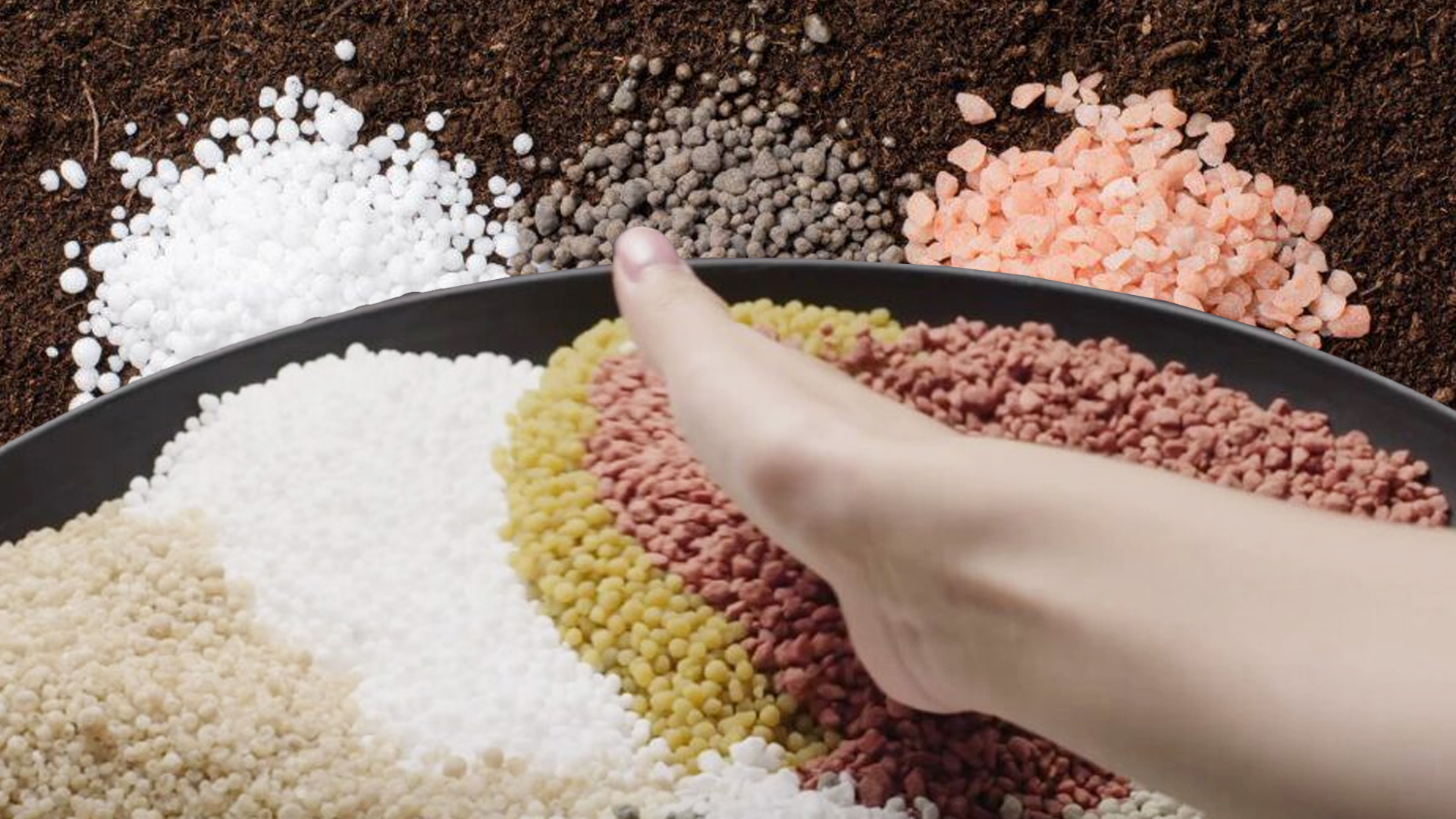 เรื่องของ ปุ๋ย2