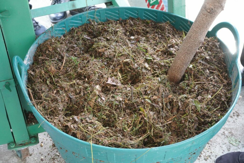 เรื่องของปุ๋ย ก่อนปลูกพืชต้องรู้ ตอน 3 ปุ๋ยชีวภาพ 2 ปุ๋ยชี ๒๑๐๑๒๐ 2 1024x684 1