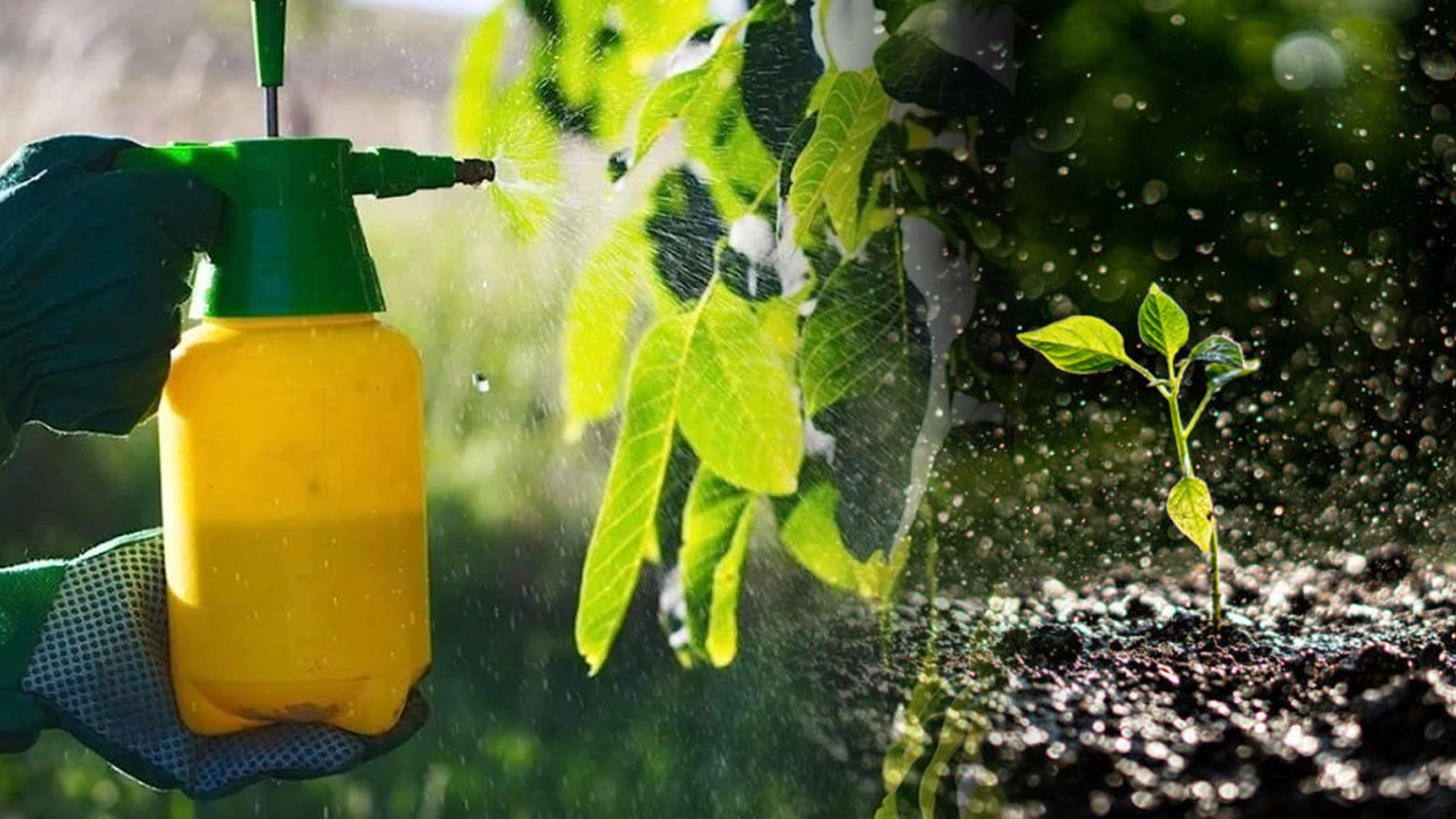 เรื่องของปุ๋ย..ก่อนปลูกพืชต้องรู้ ตอน 6 ปุ๋ยน้ำ2