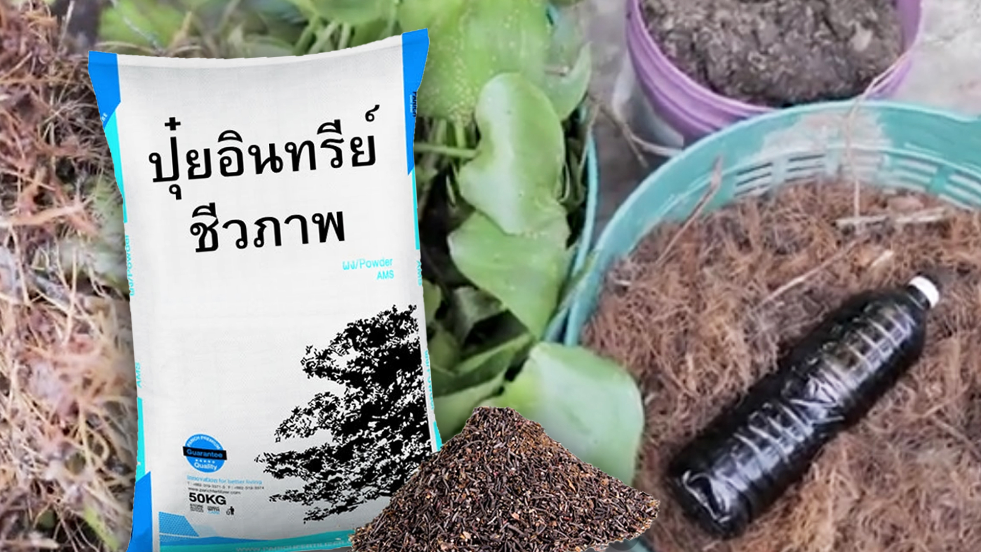 เรื่องของปุ๋ย ก่อนปลูกพืชต้องรู้ ตอน 4 ปุ๋ยอินทรีย์ชีวภาพ2