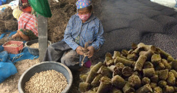 เรื่องของปุ๋ย.. ก่อนปลูกพืชต้องรู้ ตอน 5 ปุ๋ยอินทรีย์ชีวภาพอัดเม็ด2