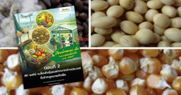 เรื่องเล่าของดร.เล็ก:พระราชบัญญัติกักพืช พ.ศ. 2507 ตอนที่ 2 : ผัก ผลไม้ เมล็ดพันธุ์3 1