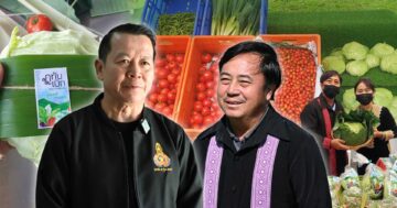 ผักปลอดภัยภูทับเบิก3