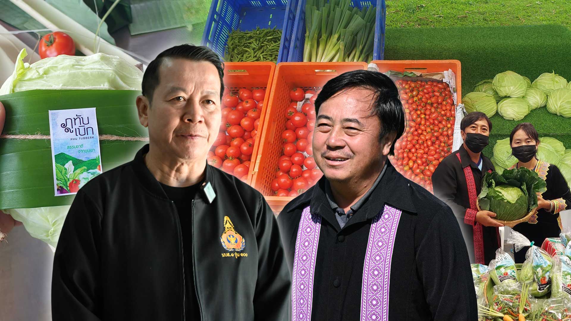 ผักปลอดภัยภูทับเบิก3