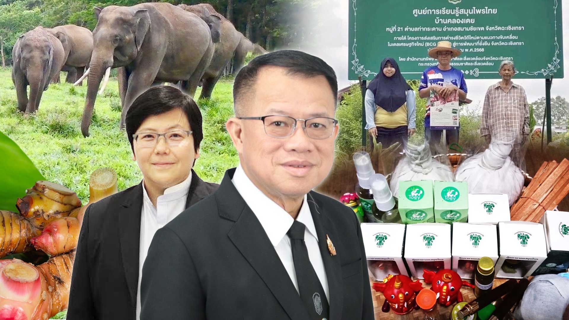 พลิกเกมป่ารอยต่อ ARDA ดันนวัตกรรมแปรรูปสมุนไพรสร้างเศรษฐกิจสีเขียว-สกัดช้างป่ารุกเมือง–สร้างรายได้ยั่งยืน 1 พลิกเกมป่ารอยต่อ2