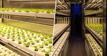 ฟาร์มอัจฉริยะบนเรือ3