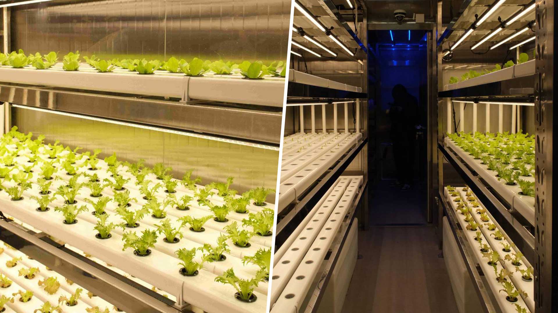 ฟาร์มอัจฉริยะบนเรือ3