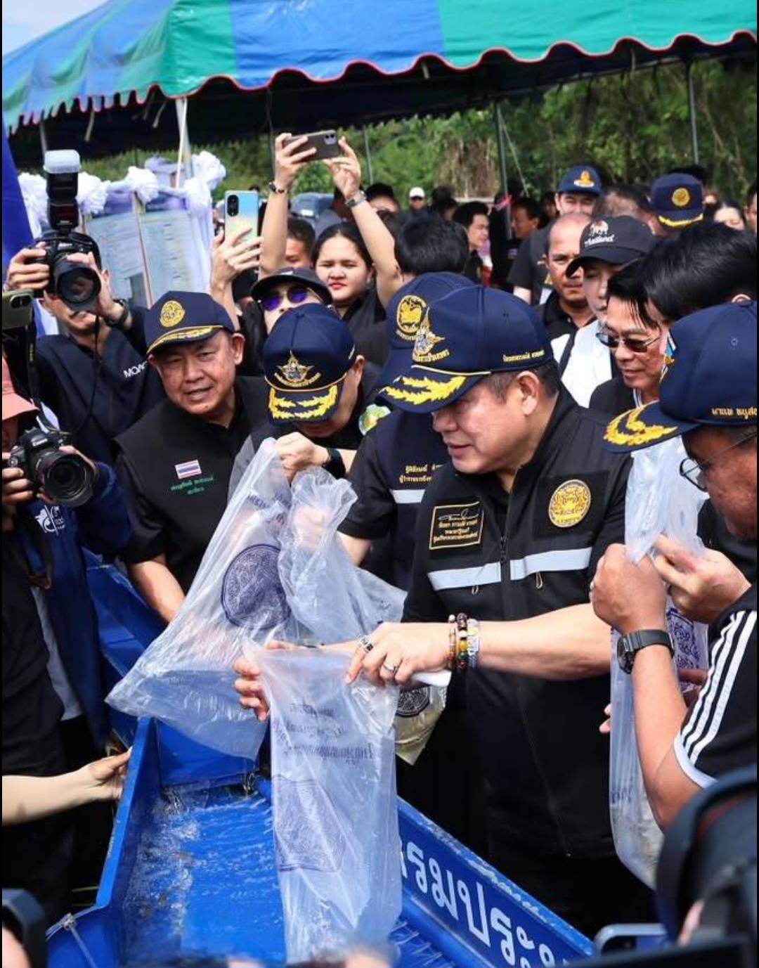 กรมประมง..ขานรับนโยบาย ก.เกษตรฯเดินหน้าเร่งฟื้นฟู “ปลายี่สกไทย” หลังเสี่ยงใกล้สูญพันธุ์ ตั้งเป้าเพิ่มกำลังการผลิตกว่า 500,000 ตัว ในปี 2569 2 ภาพปม2 0