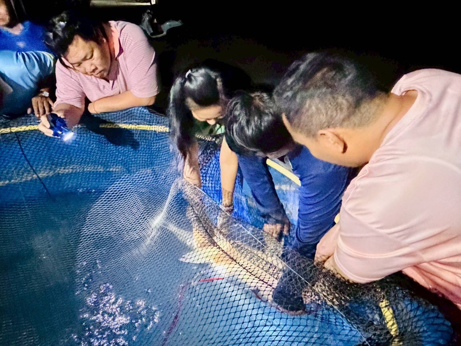 กรมประมง..ขานรับนโยบาย ก.เกษตรฯเดินหน้าเร่งฟื้นฟู “ปลายี่สกไทย” หลังเสี่ยงใกล้สูญพันธุ์ ตั้งเป้าเพิ่มกำลังการผลิตกว่า 500,000 ตัว ในปี 2569 5 ภาพปม5 0