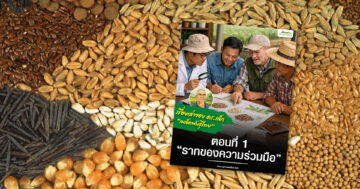 เรื่องเล่าของ ดร.เล็ก ชุด เมล็ดพันธุ์ไทย ตอนที่ 1 รากของความร่วมมือ3