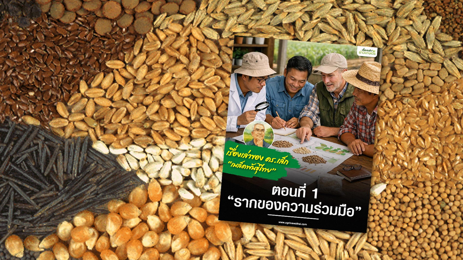 เรื่องเล่าของ ดร.เล็ก ชุด เมล็ดพันธุ์ไทย ตอนที่ 1 รากของความร่วมมือ3
