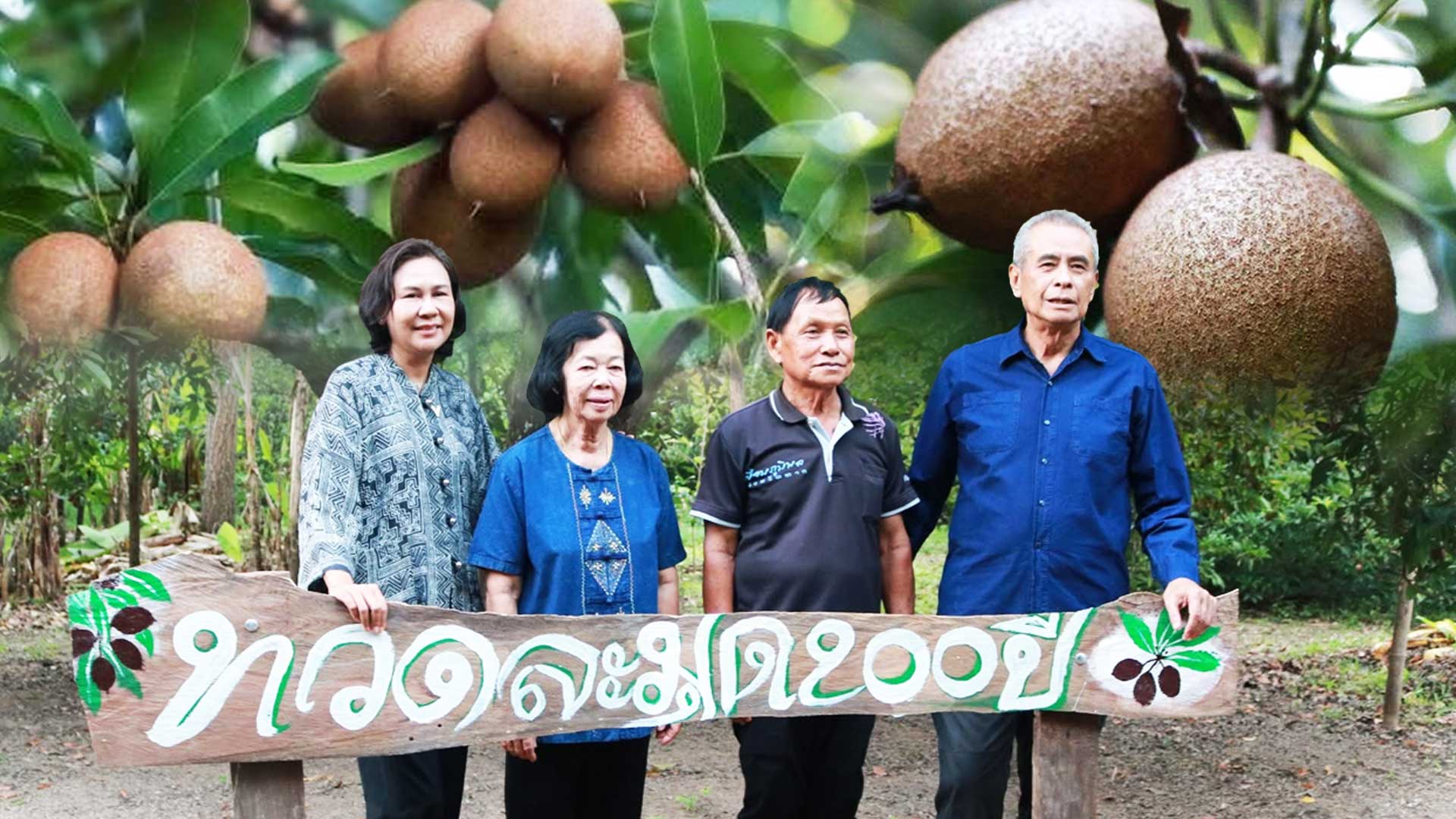 ละมุดสี่แคว @บางมะฝ่อ “หวาน กรอบ อร่อย” ของดี อ.โกรกพระ จ.นครสวรรค์ 1 ละมุดสี่แคว2