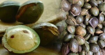 ลูกเนียง3